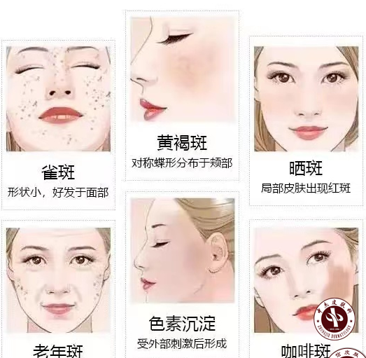 企业微信截图_1745832752319.png